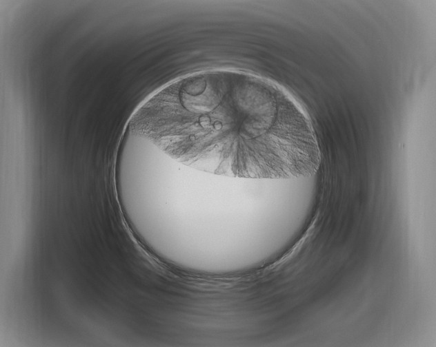 X0000116631513200912110950