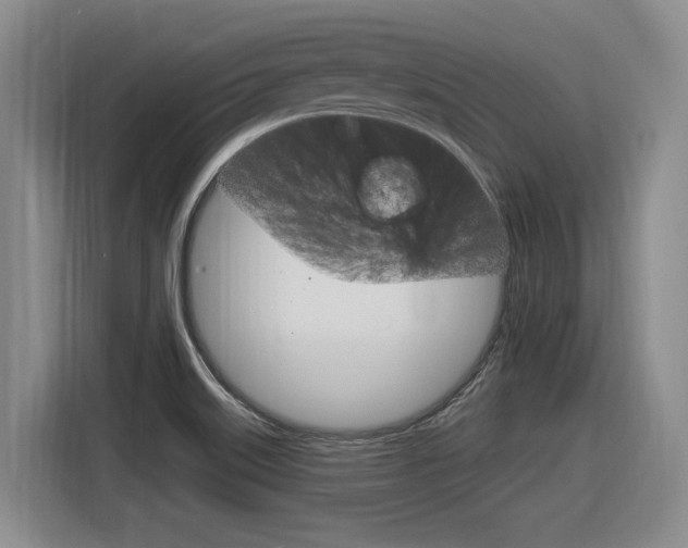 X0000116631515200912110950