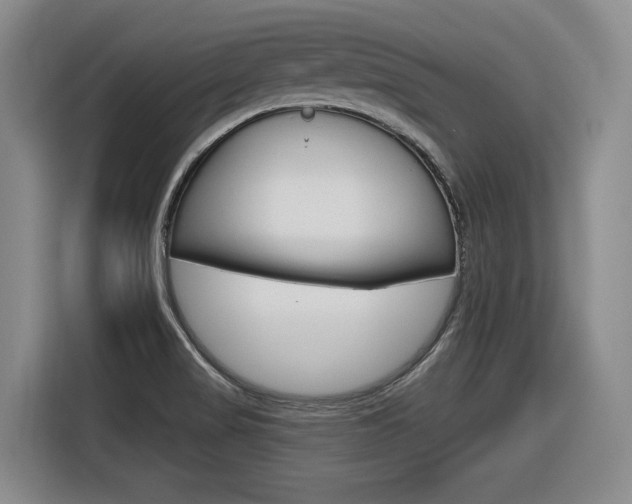 X0000116631517200912110950