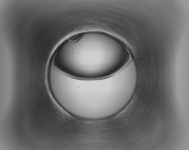X0000116631518200912110950