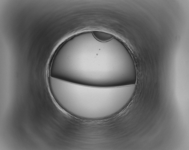 X0000116631519200912110950