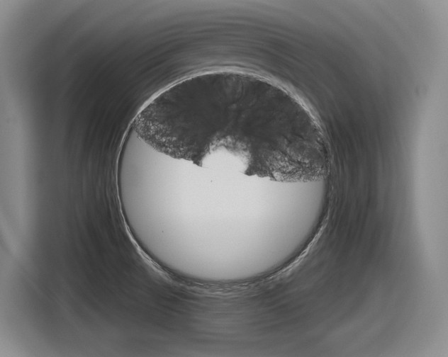 X0000116631521200912110950