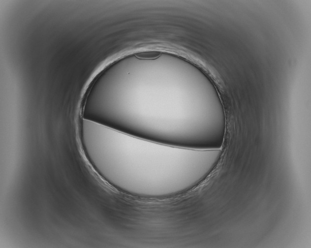 X0000116631522200912110950