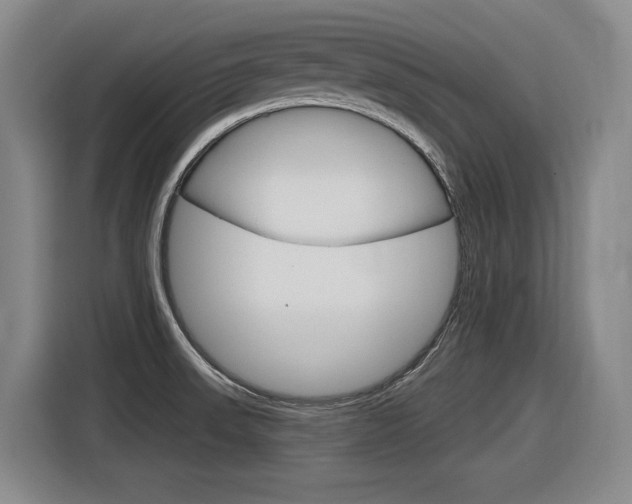 X0000116631523200912110950