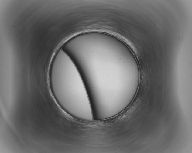 X0000116631525200912110950