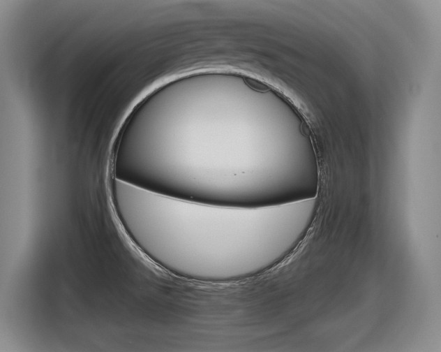 X0000116631526200912110950