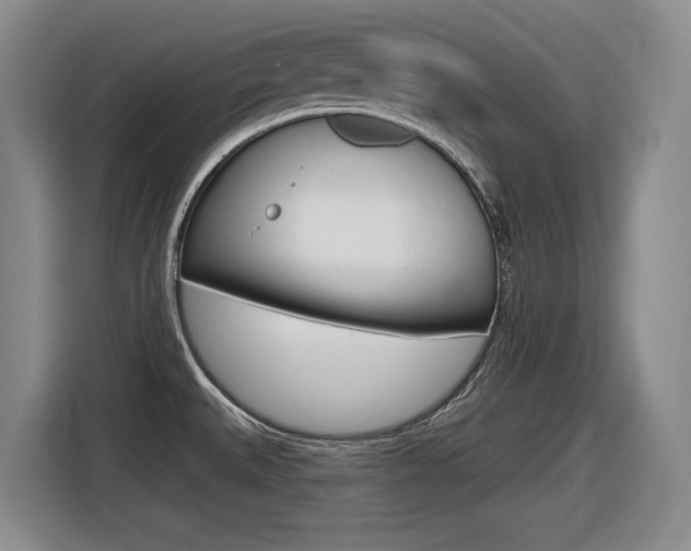 X0000116631527200912110950