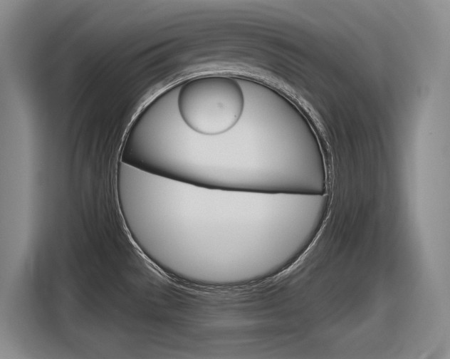 X0000116631529200912110951