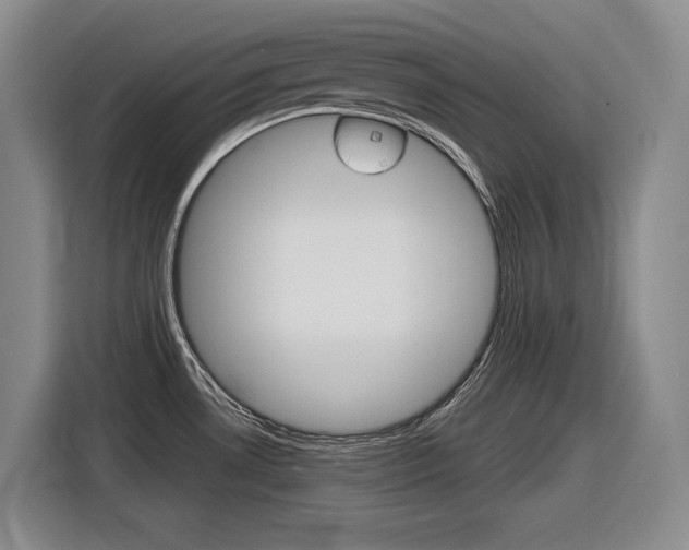 X0000116631530200912110951