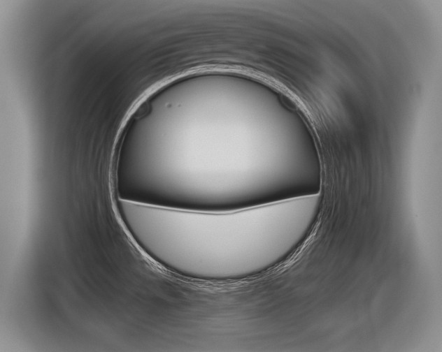 X0000116631533200912110951