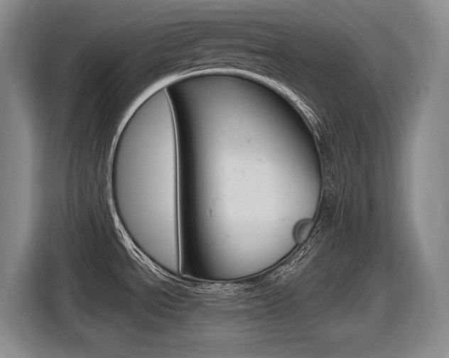 X0000116631534200912110951