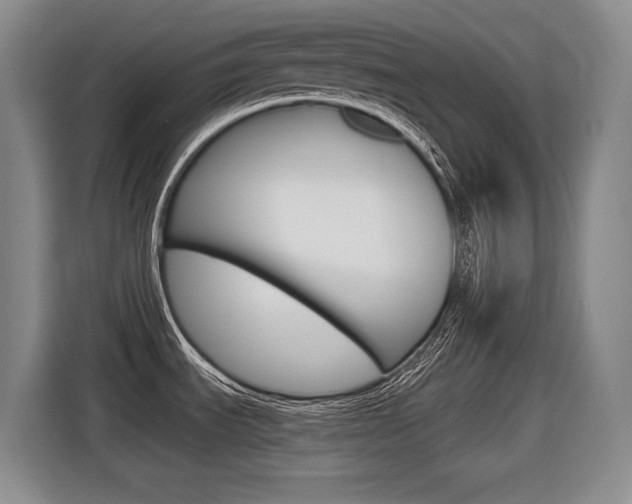 X0000116631535200912110951