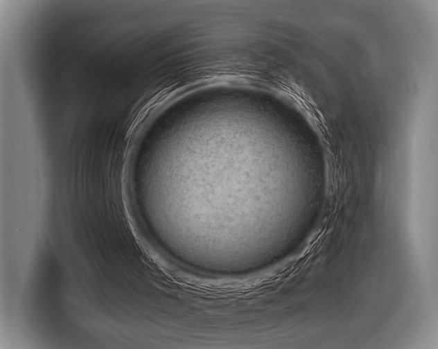 X0000116630001200912111226