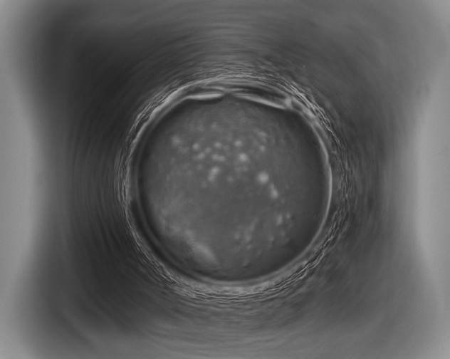 X0000116630002200912111226