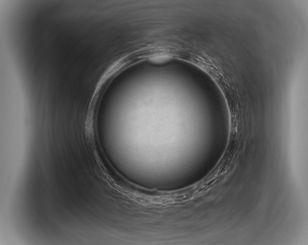 X0000116630004200912111226