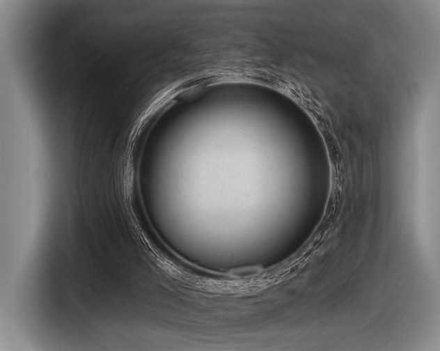 X0000116630005200912111226