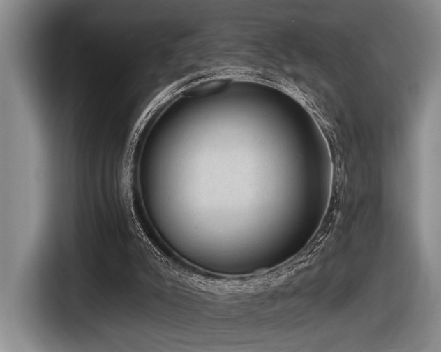 X0000116630007200912111226