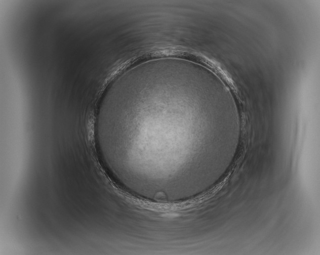 X0000116630010200912111226