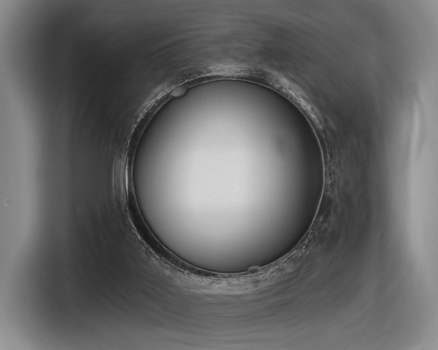 X0000116630011200912111226