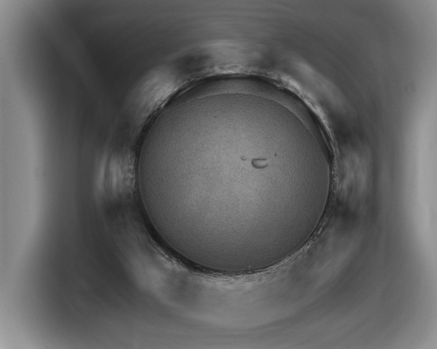 X0000116630017200912111226