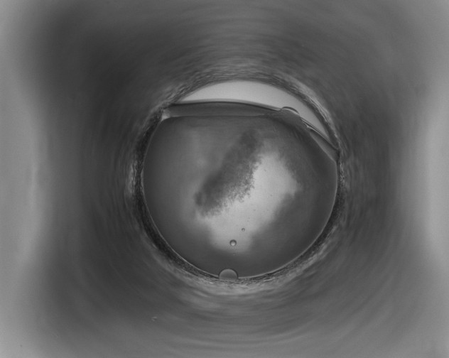 X0000116630018200912111226