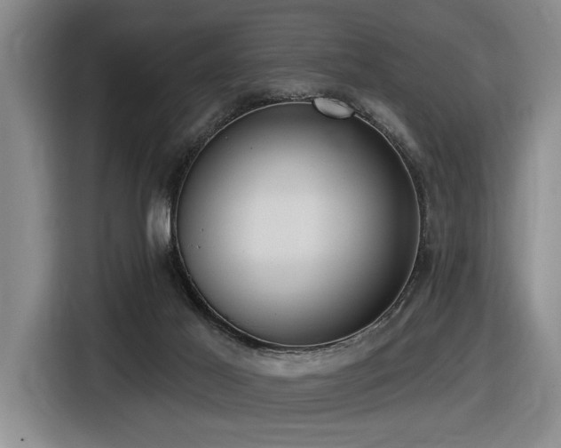 X0000116630021200912111226