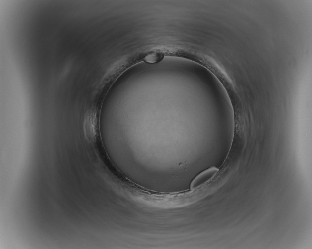 X0000116630023200912111226