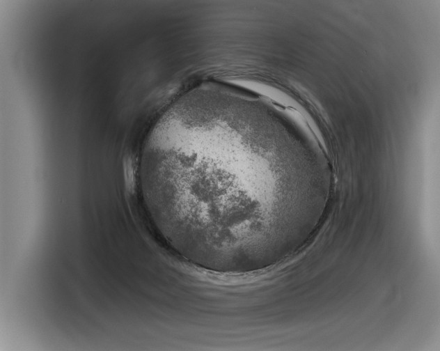 X0000116630026200912111226