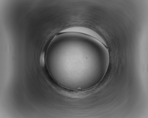 X0000116630028200912111226