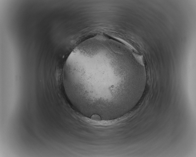 X0000116630034200912111226