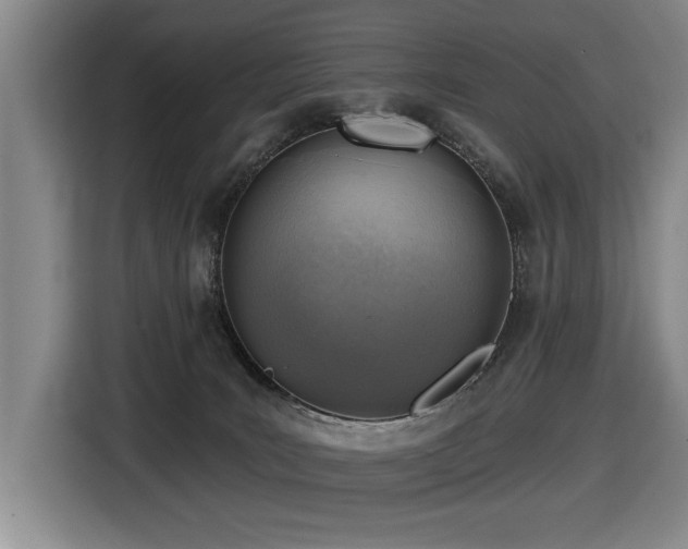 X0000116630035200912111226