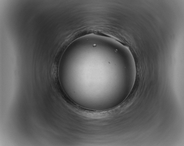 X0000116630036200912111226