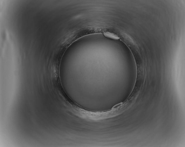 X0000116630039200912111226