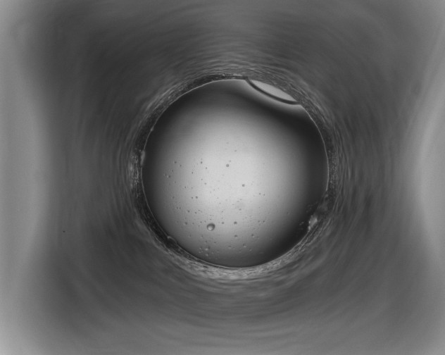 X0000116630043200912111225