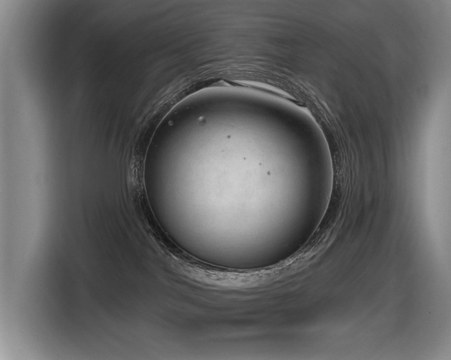 X0000116630044200912111225