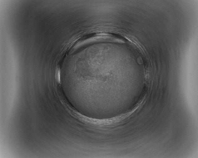 X0000116630046200912111225