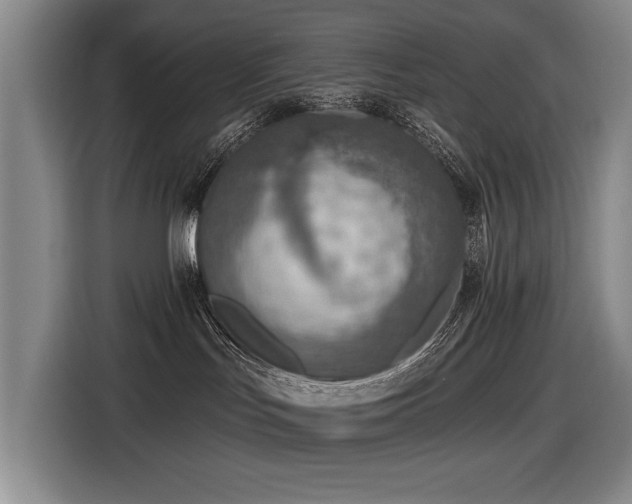 X0000116630047200912111225