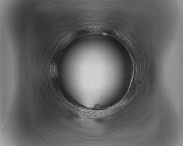 X0000116630048200912111225