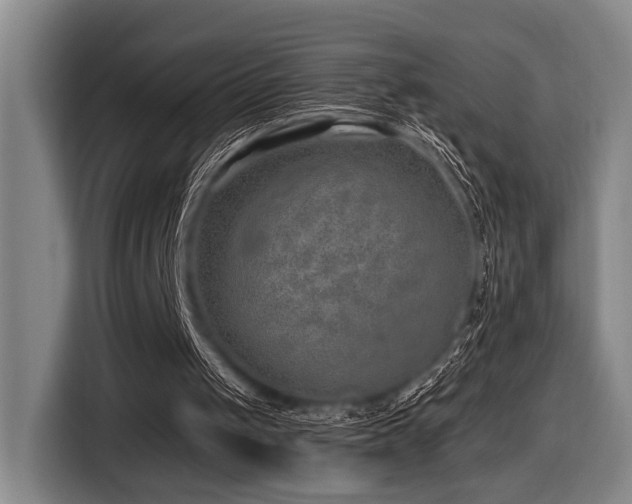 X0000116630049200912111225