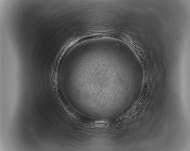 X0000116630050200912111225