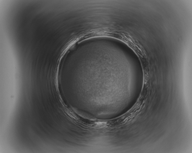 X0000116630052200912111225