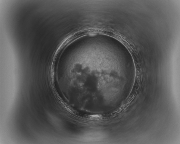 X0000116630053200912111225