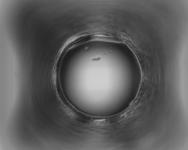 X0000116630054200912111225