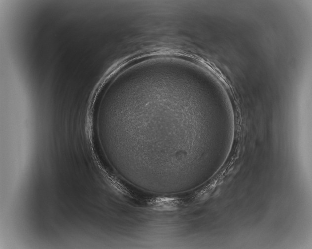 X0000116630055200912111225