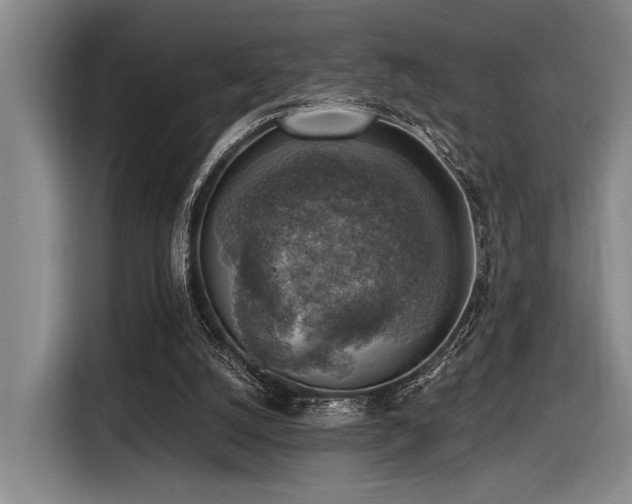 X0000116630056200912111225