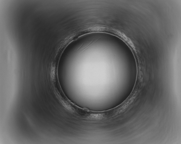 X0000116630057200912111225