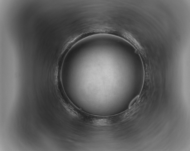 X0000116630058200912111225