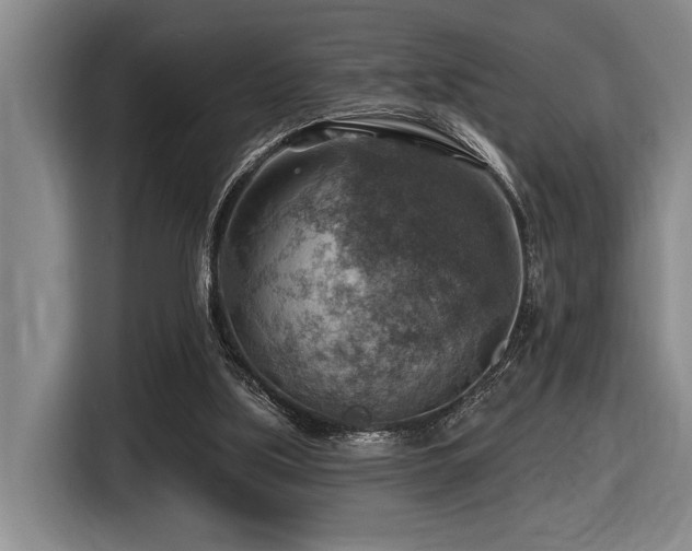 X0000116630059200912111225