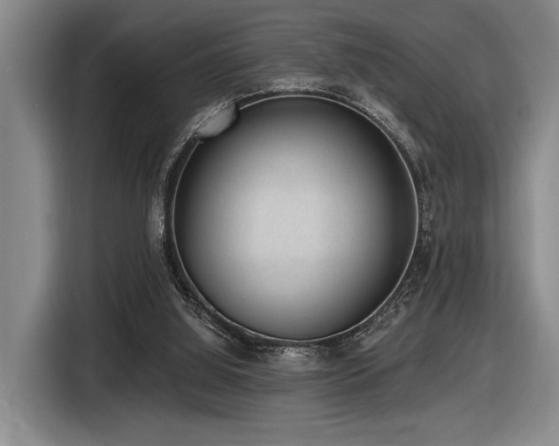 X0000116630060200912111225