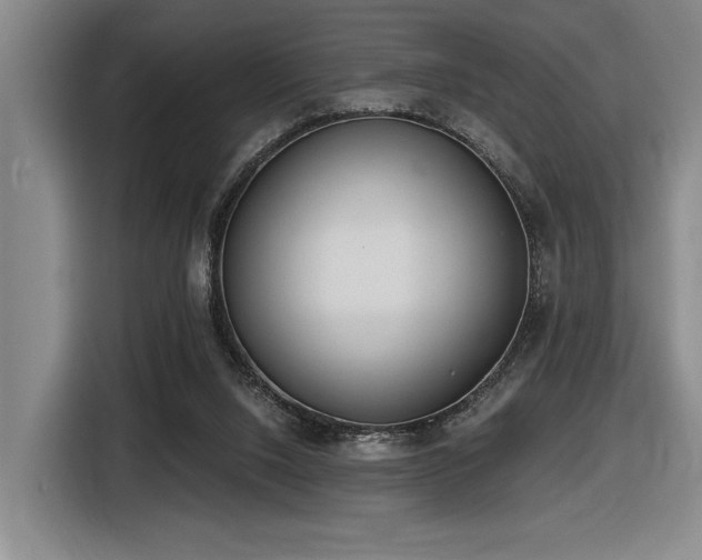 X0000116630064200912111225